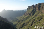 Pico del Teide National Park