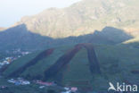 Pico del Teide National Park