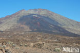 Pico del Teide National Park