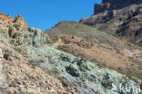 Parque Nacional de Pico del Teide