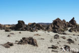 Parque Nacional de Pico del Teide