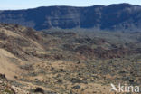 Pico del Teide National Park