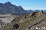 Pico del Teide National Park