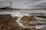 St. Mary s Lighthouse