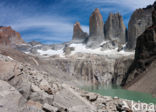 Torres del Paine