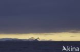 Bransfield Strait