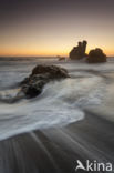 Sonoma Coast State Park