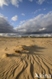 Nationaal Park De Hoge Veluwe