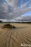 Nationaal Park De Hoge Veluwe