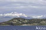 Tierra del Fuego National Park