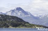 Tierra del Fuego National Park