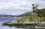 Tierra del Fuego National Park