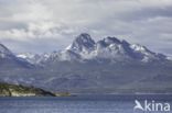 Tierra del Fuego National Park