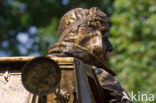Westerbork