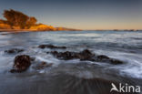 Sonoma Coast State Park