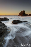 Sonoma Coast State Park