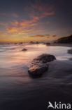 Sonoma Coast State Park