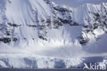 glacier