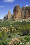 Los mallos de riglos