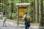 Bavarian Forest National Park