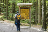 Bavarian Forest National Park