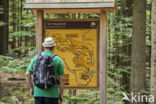 Bavarian Forest National Park