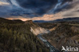 Yellowstone national park