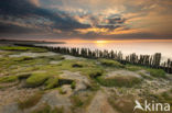 Wadden Sea