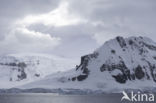 Antarctic Peninsula