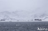 Deception Island