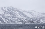 Deception Island