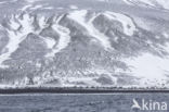 Deception Island