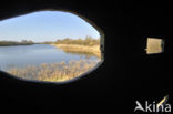 Réserve naturelle de la Baie de Somme