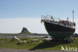 Holy Island