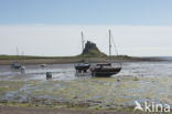 Holy Island