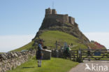 Holy Island