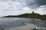 Dunnottar Castle