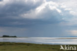 Aberlady Bay