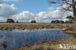 National Park Drents-Friese Wold