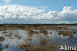 Nationaal Park Drents-Friese Wold