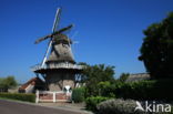 Molen Windlust