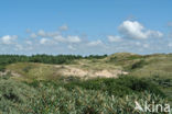 Noordhollands Duinreservaat