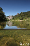 Cévennes