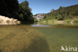 Cévennes