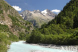 glacierriver