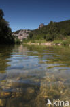 Cévennes