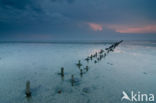 National Park Lauwersmeer