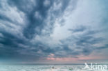 Nationaal Park Lauwersmeer