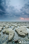 National Park Lauwersmeer