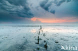 National Park Lauwersmeer